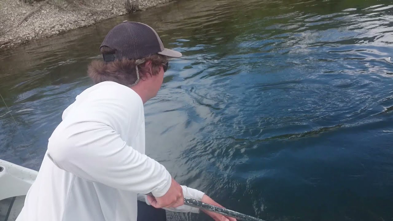 Big Montana Rainbow Trout