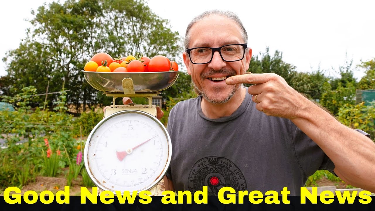 Weighing Things Up It's Some Good News And Then Some Great News - Chilli, Potato and Tomato Harvests