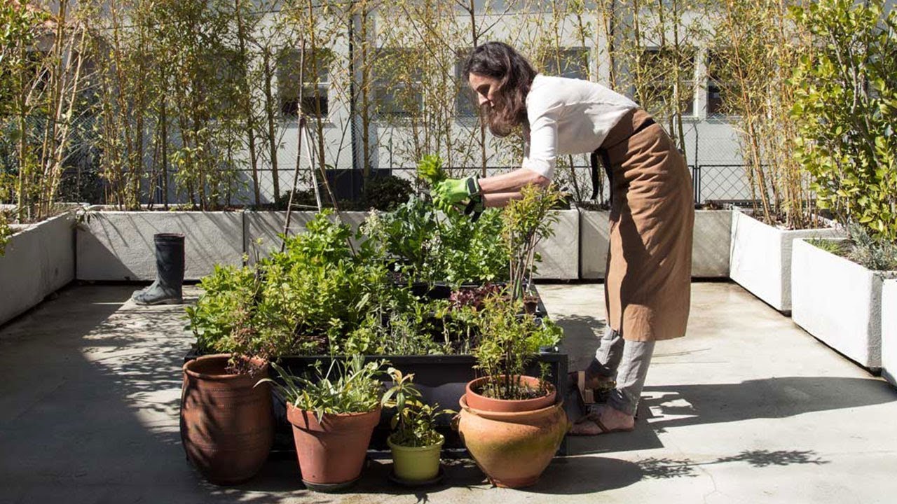 An urban garden with Florence Rolando 💬