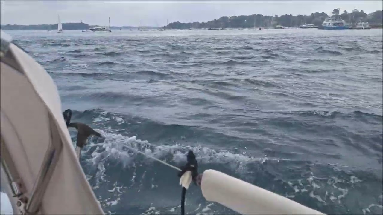 Voilier Yannick. Piriac , Quiberon et la traversée du golfe du Morbihan.