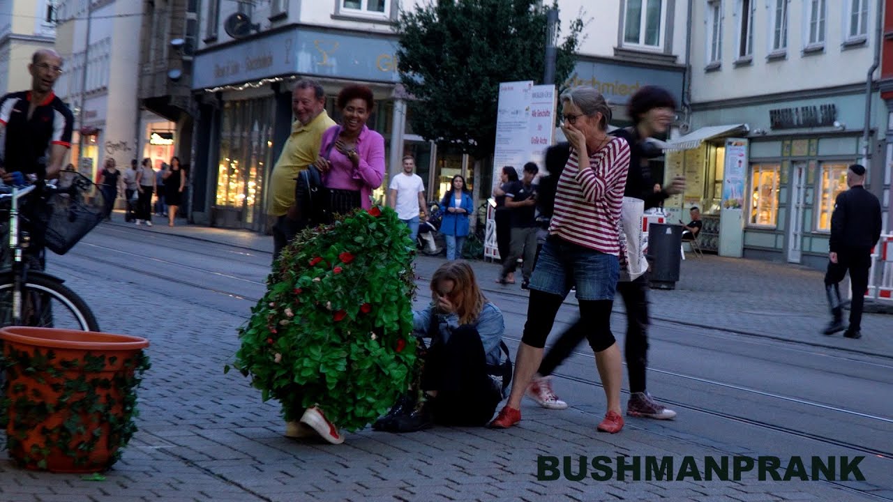 Ultimate Best of Bushman Prank .