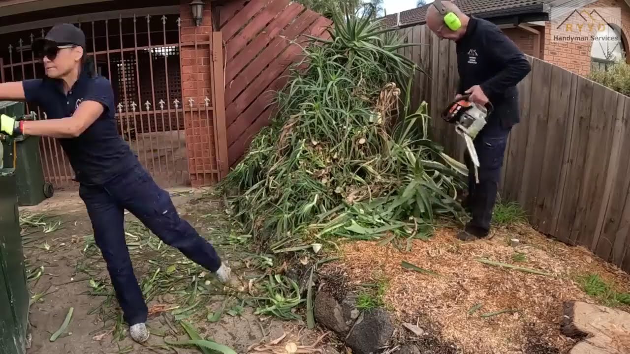 Property Grows Wild - We did it FREE.......