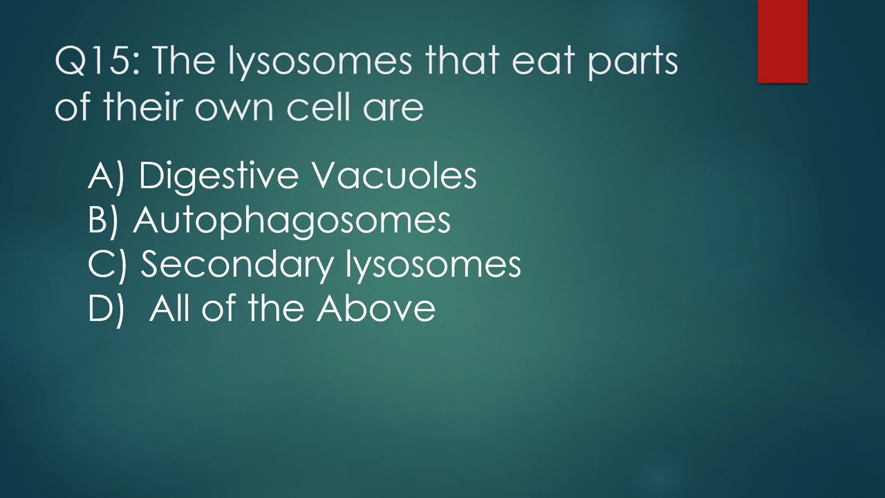 Essential Biology Question's | Part 5 | MDCAT | VIDEO : 35 | Military Mindset