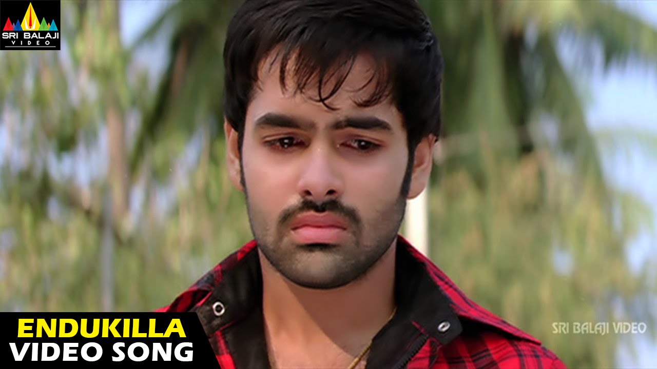 Rama Rama Krishna Krishna Songs | Endukilla Video Song | Ram, Priya Anand | Sri Balaji Video