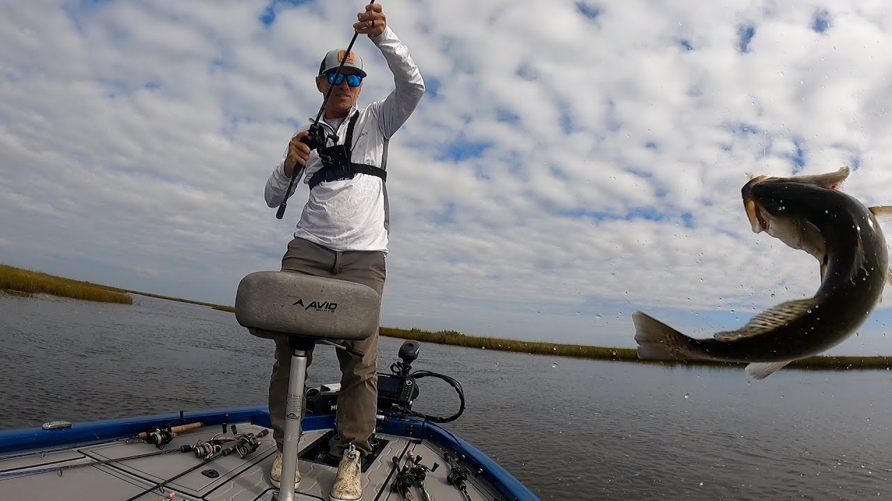 This Fishing Action Just as Good as It Gets!