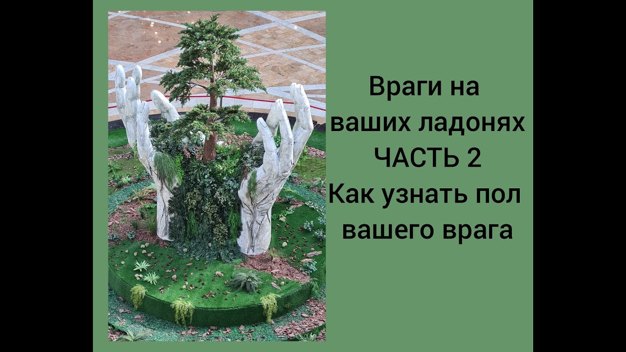 Враги на ваших ладонях. Часть 2 Как узнать пол вашего врага Хиромантия