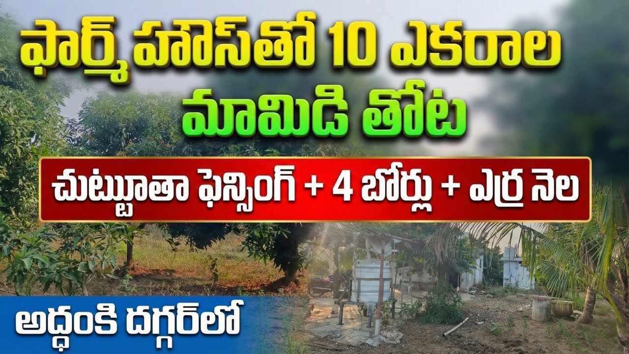 ఫార్మ్ హౌస్ తో 10 ఎకరాల మామిడి తోట | EstateGuru