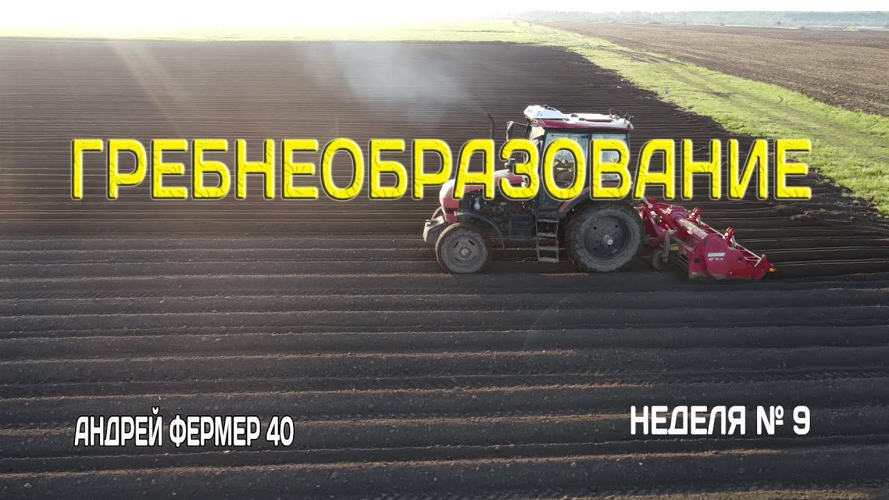 ВЫЕХАЛИ НА ГРЕБНЕОБРАЗОВАНИЕ, НЕБОЛЬШИЕ ПОЛОМКИ