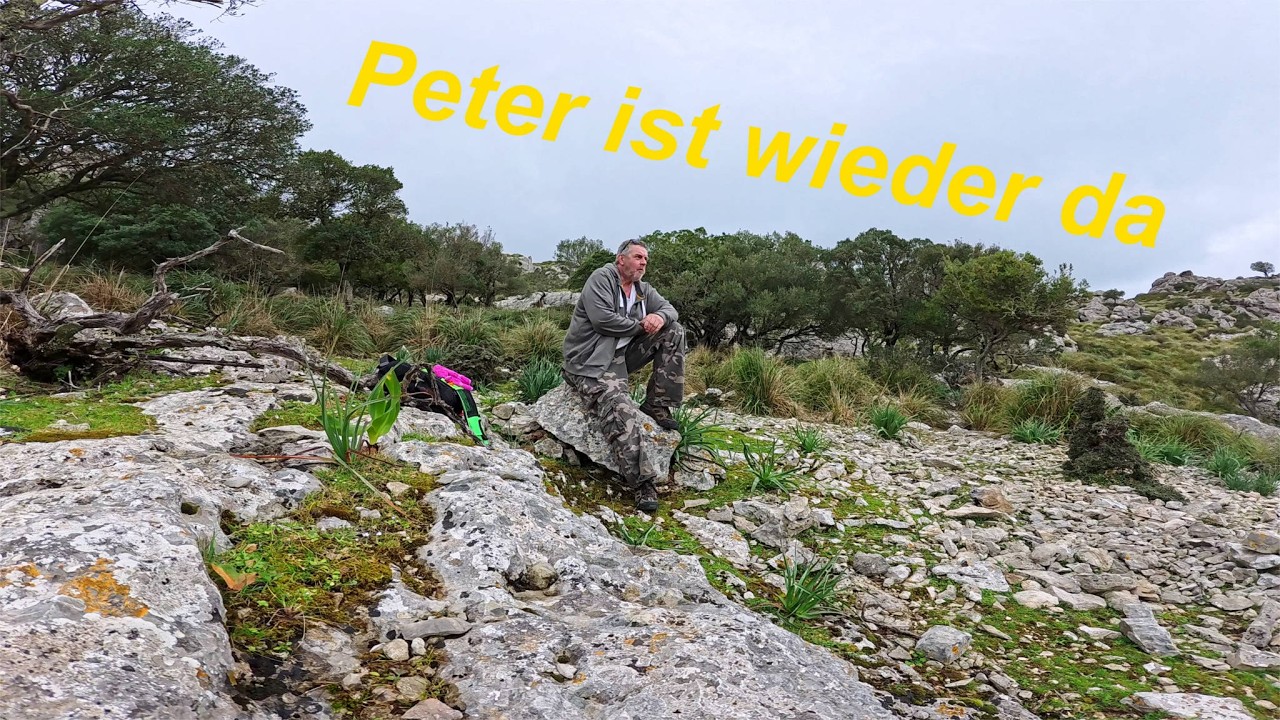 Peter ist wieder da - Trailer