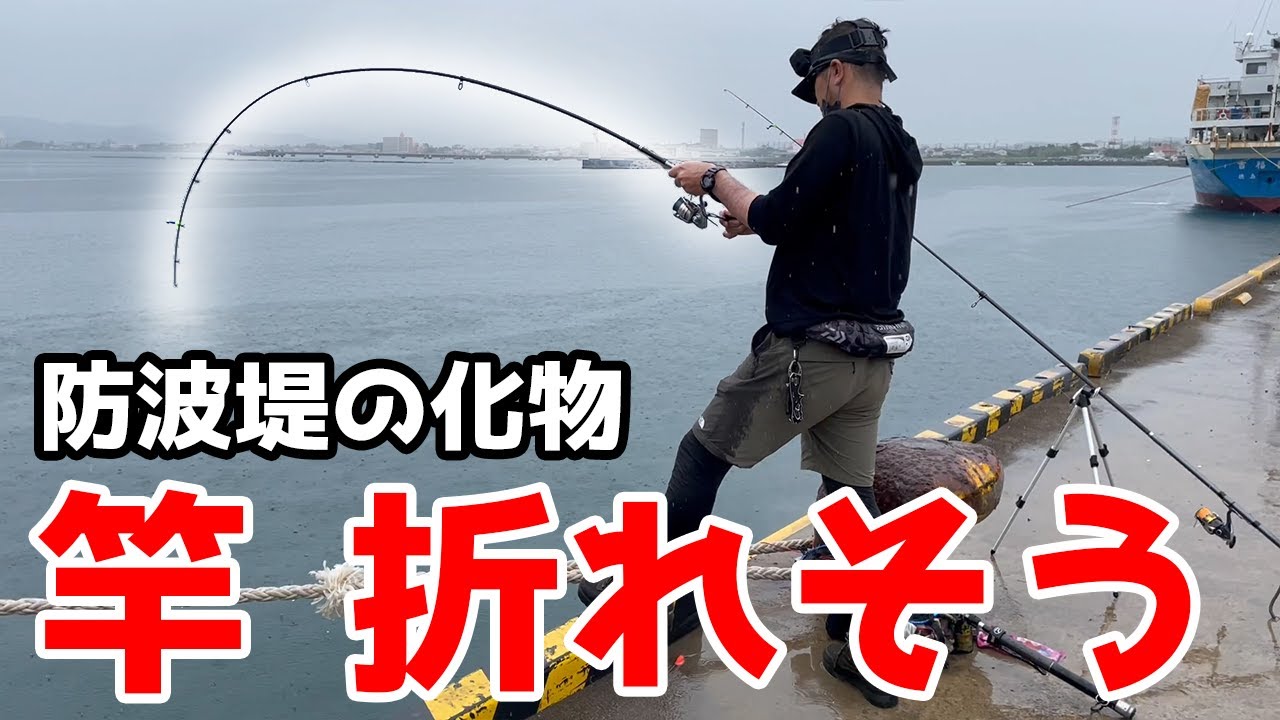 【館山港】ギャラリー騒然！化け物が次々と釣れる堤防_後編