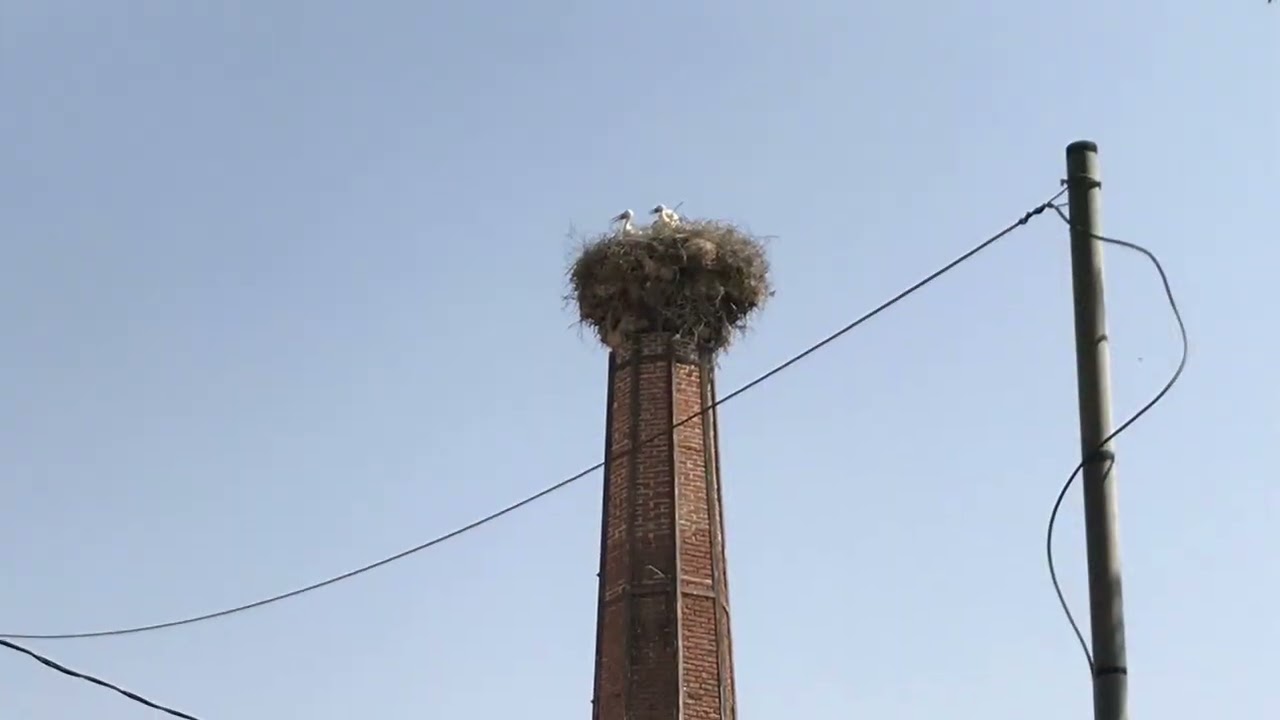 Spring in Polichnitos