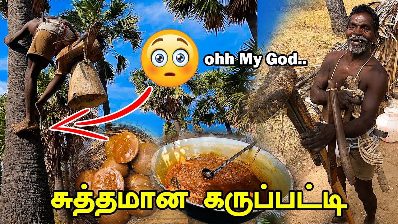 60 வயதான தாத்தா Pure Karupatti Making in Tirunelveli Panakudi கருப்பட்டி Palm Jaggery Mr Ajin Vlogs