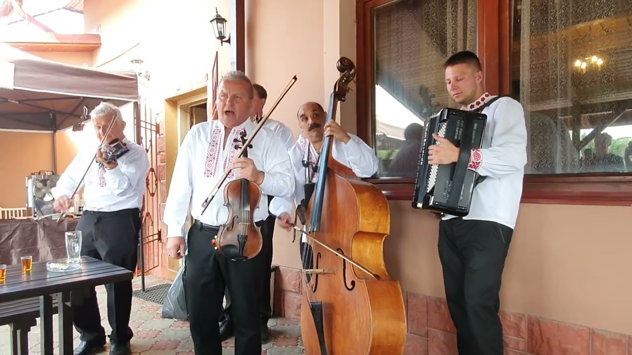 KARLIKOVCI
