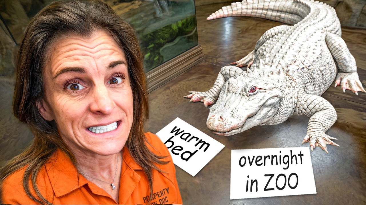 ANIMALS Control My Day for 24 Hours!