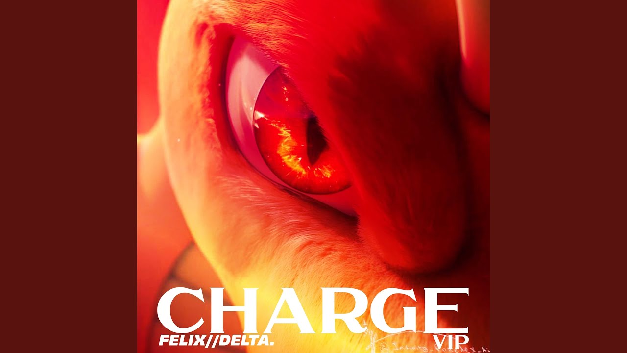 CHARGE (VIP)