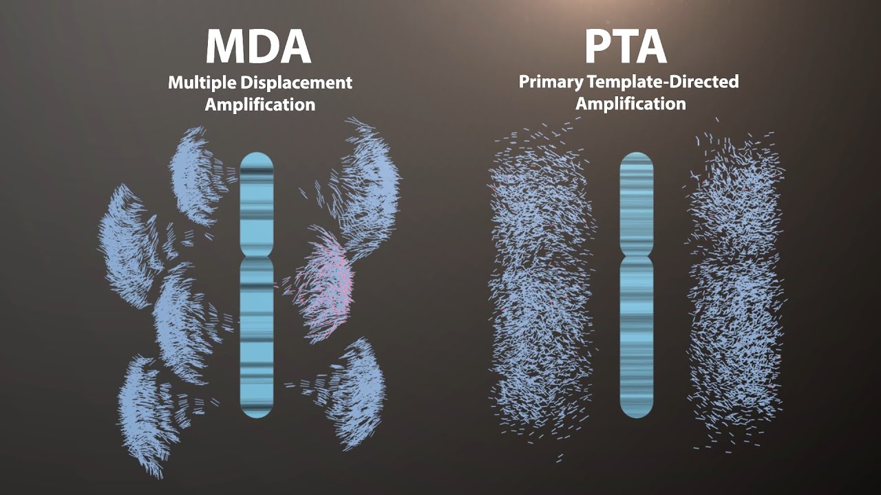 BioSkryb Primary Template-directed Amplification (PTA)