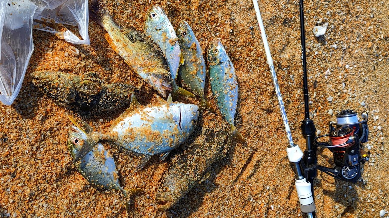 Memburu Spesis Ikan Pelagic Di Dungun | ULTRALIGHT FISHING MALAYSIA