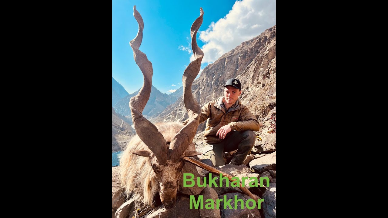 Bukharan markhor hunting in Tadjikistan