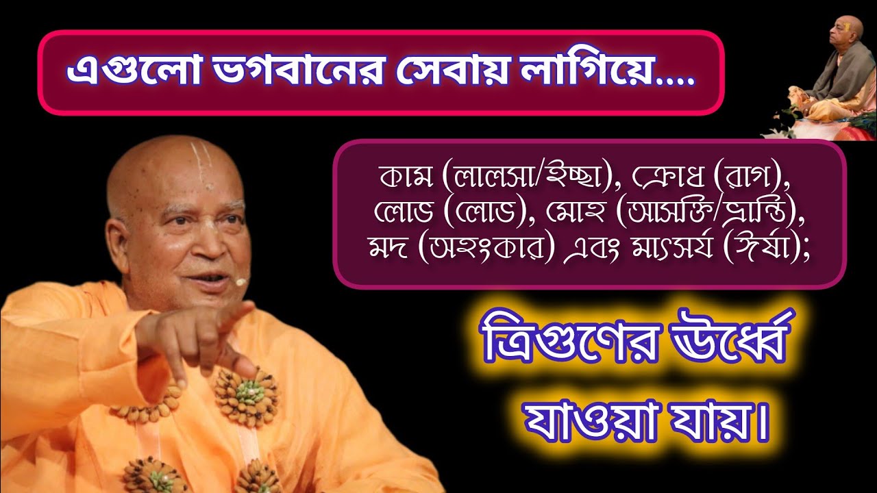হনুমান সীতাকে চুরি করে লঙ্কায় আগুন লাগিয়ে দিয়েছিল। #subhag_maharaj #isckon #devotional