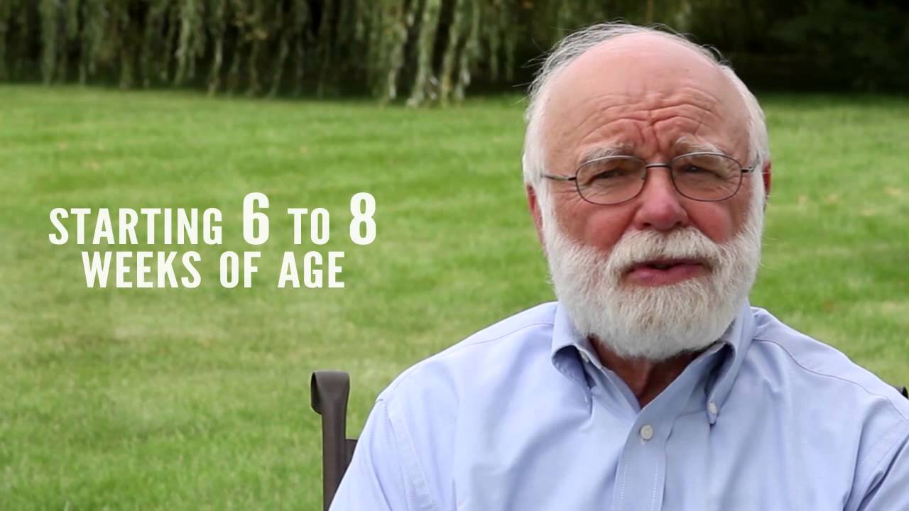 Ronald Schultz, MD: Maternally-derived Parvo Antibodies and Puppy Immunization - class