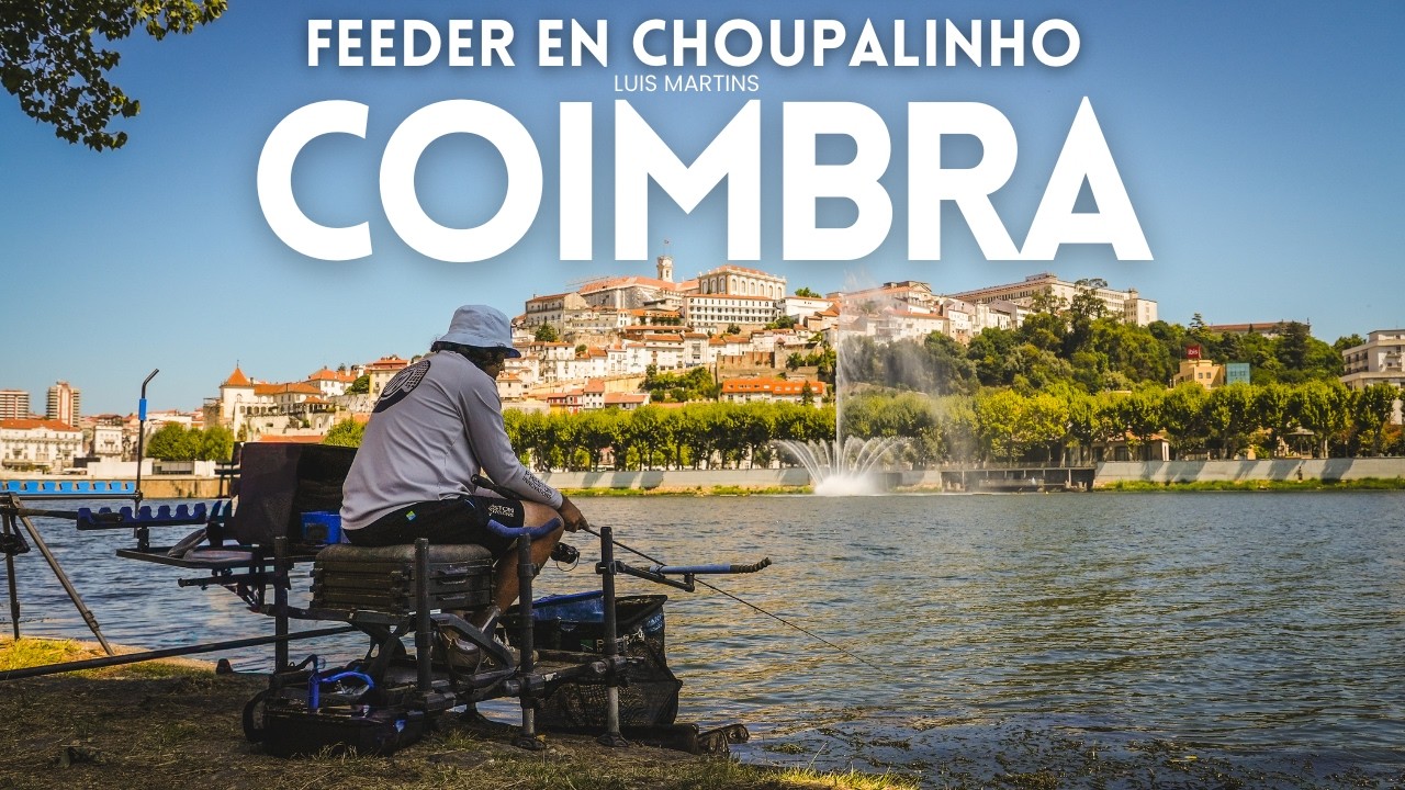 FEEDER EN CHOUPALINHO COIMBRA I RÍO MONDEGO