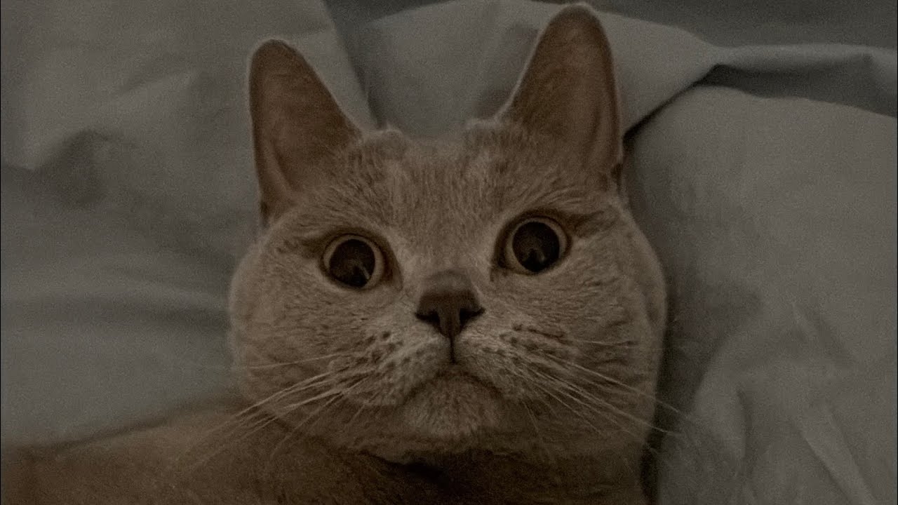 순해요