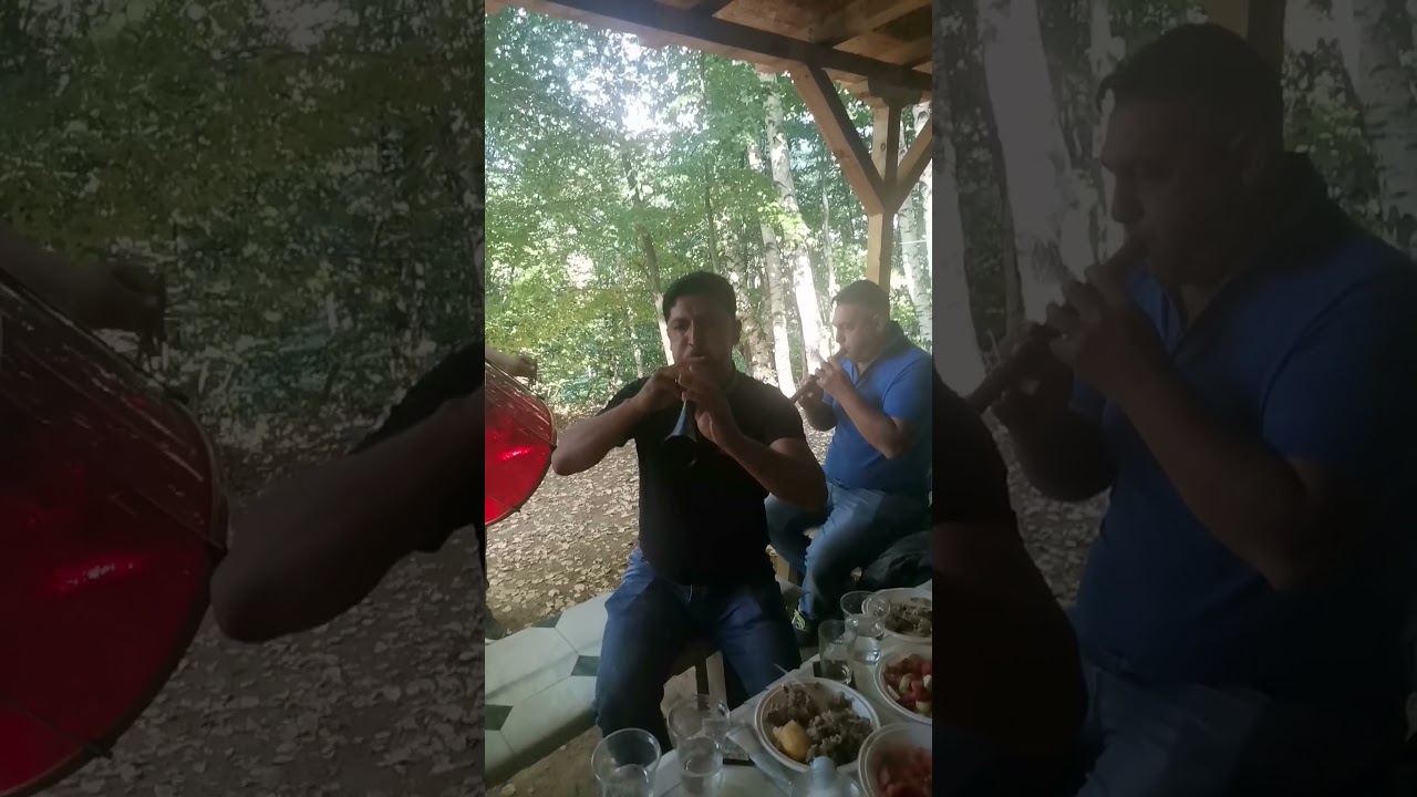 Гоце Демиров - Изкуството да рисуваш с музика!!!