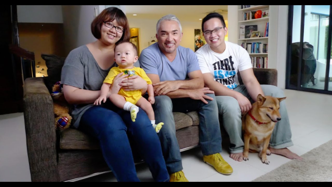 Cesar 911: Special 0x4 | Singapore's Canine Prisoner