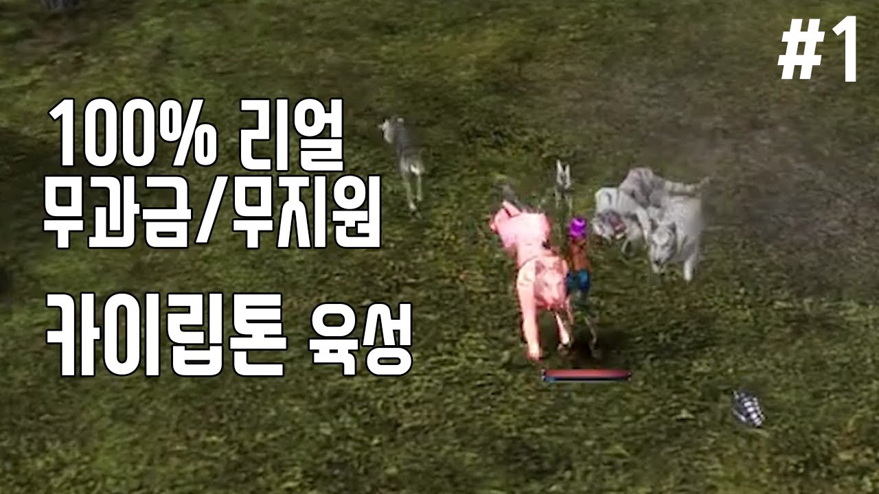 라그하임 카이립톤 육성 1편 [레벨 1~12]