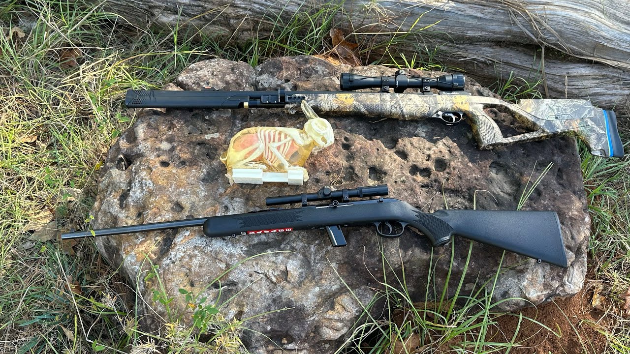 22 Air Rifle Vs 22 Long Rifle