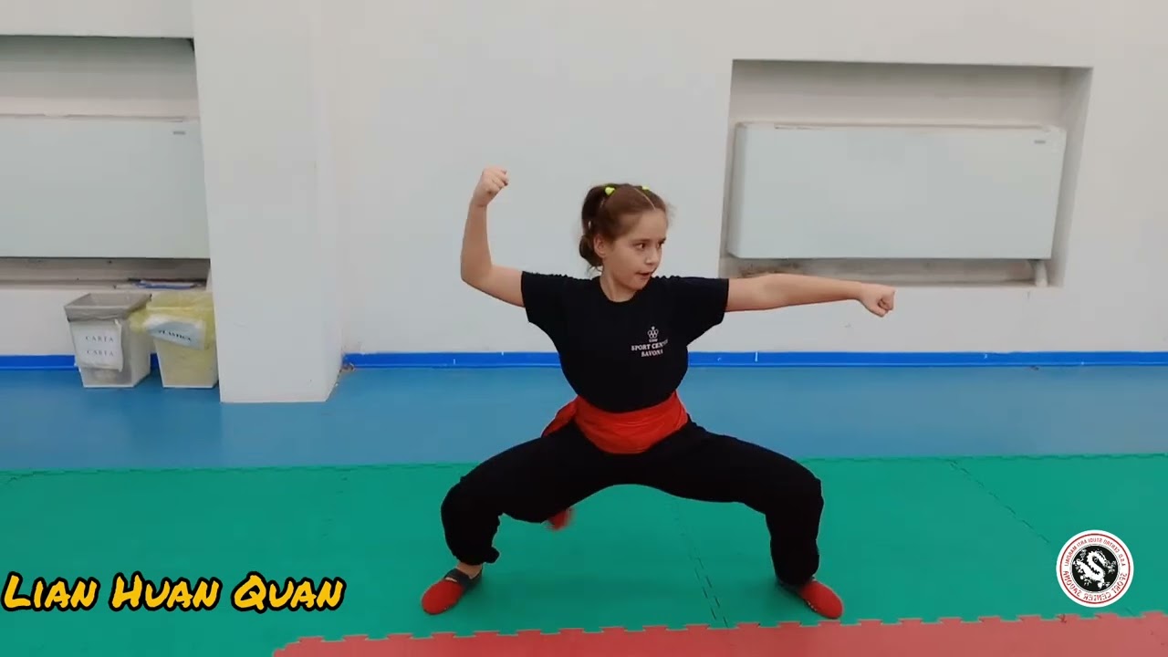 Kung fu forme @LeminilezionidiartimarziAli