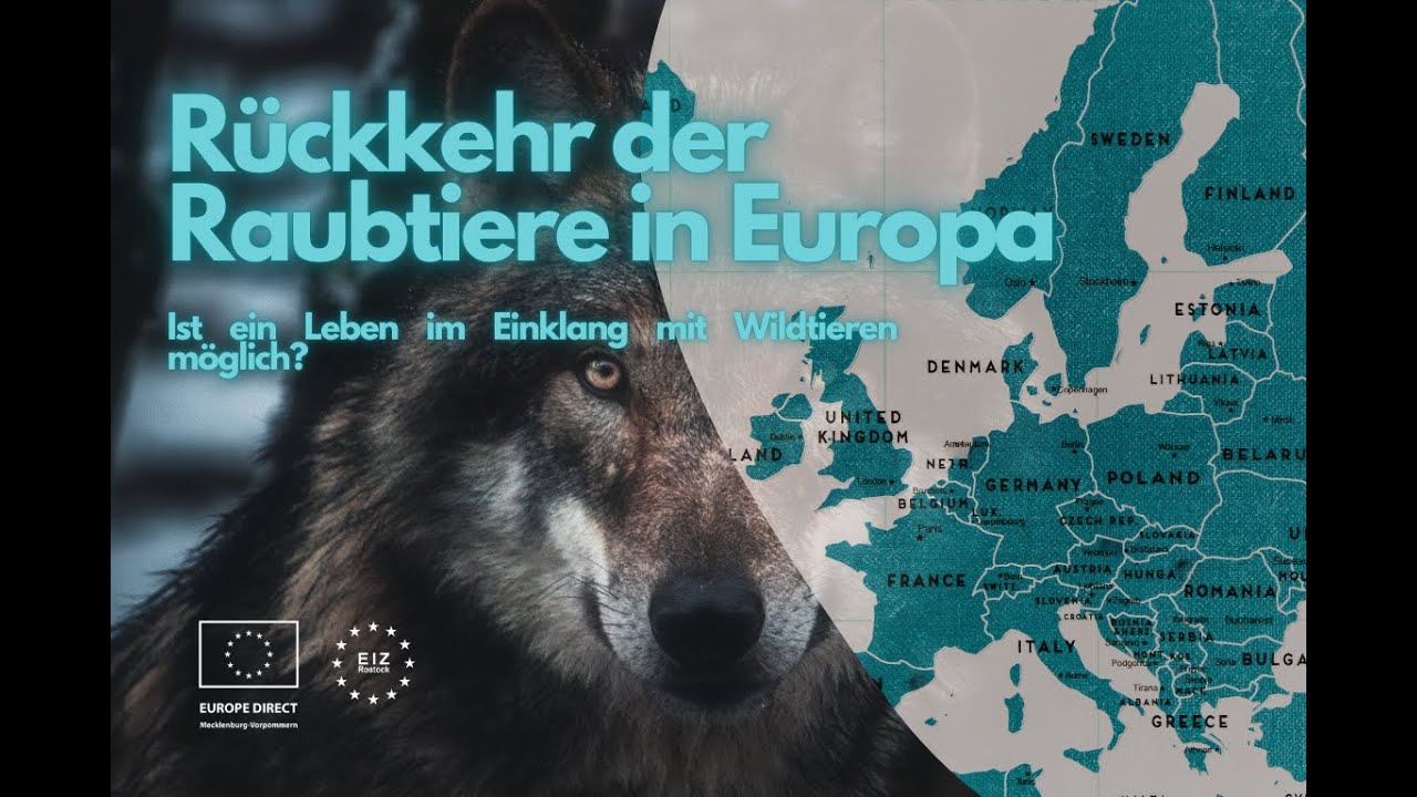 #12sterne Rückkehr der Raubtiere - Ist ein Leben im Einklang mit Raubtieren möglich?