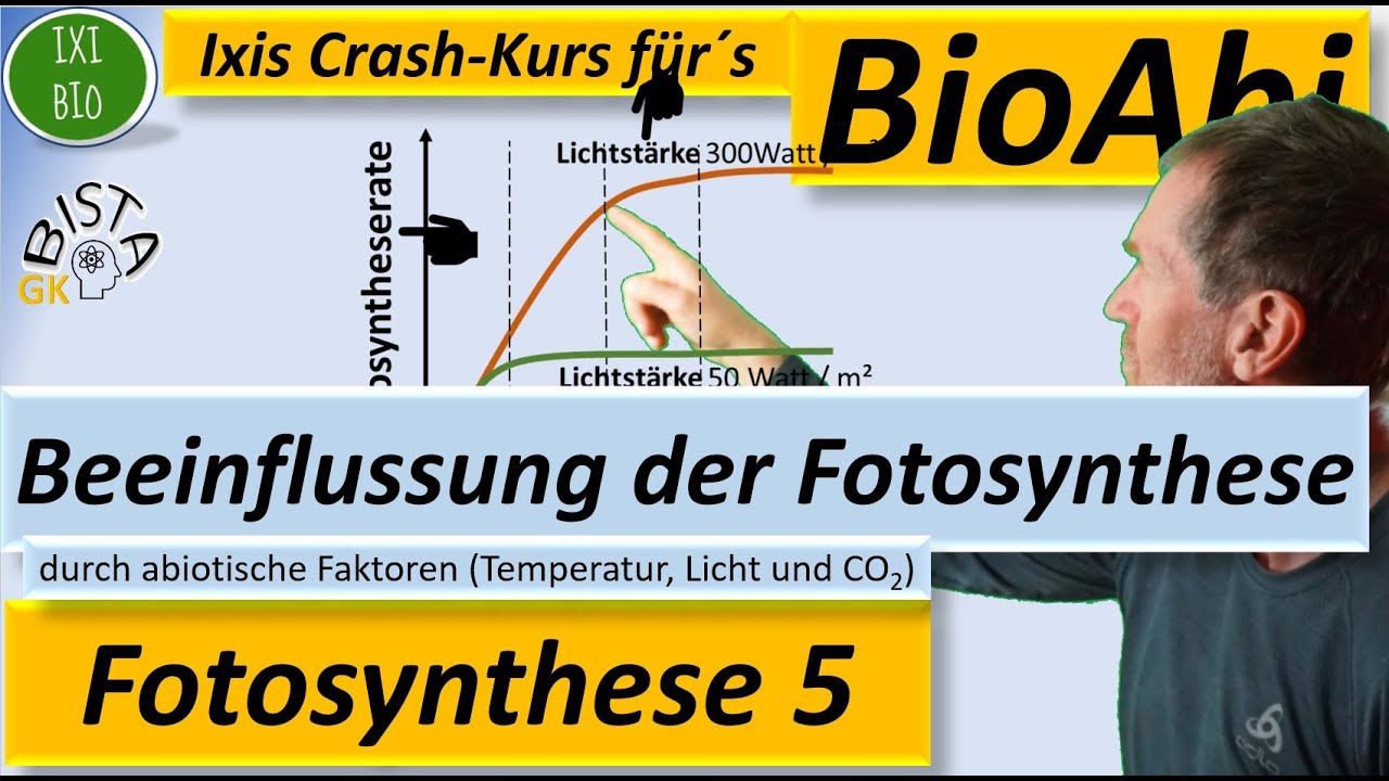 Beeinflussung der Fotosynthese (Photosynthese) durch abiotische Faktoren (Temperatur, Licht, CO2)