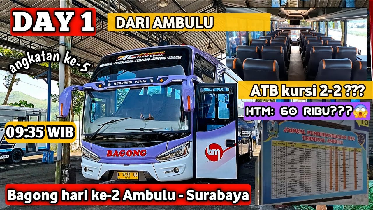 MAKIN RAPET DAN MEPET‼️JALUR TAPAL KUDA LUMAJANG PROBOLINGGO SURABAYA SEMAKIN KETAT SEMAKIN PANAS‼️