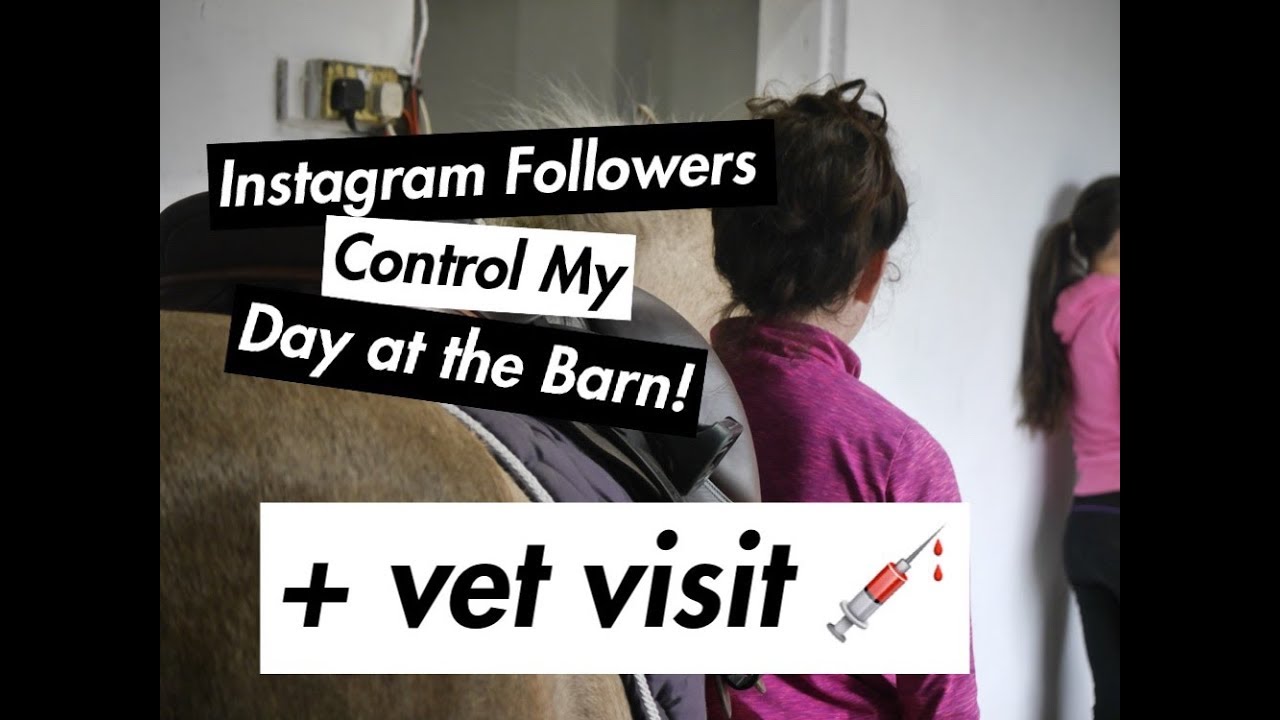 Instagram Followers control my Day + Vet Check Up & Vaccinations