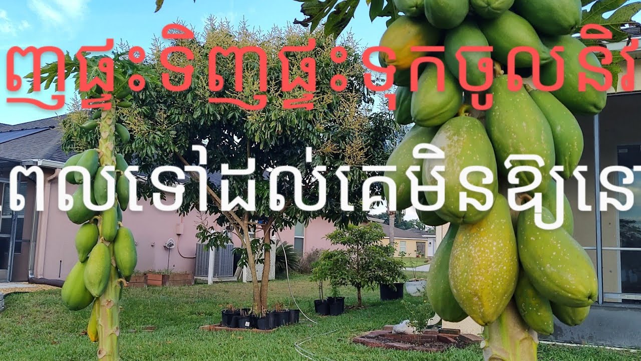 ទិញផ្ទះទុកចូលនិវត្តនៅស្រុកខ្មែរទៅដល់គេមិនឲ្យនៅ KSH 2025 # 02