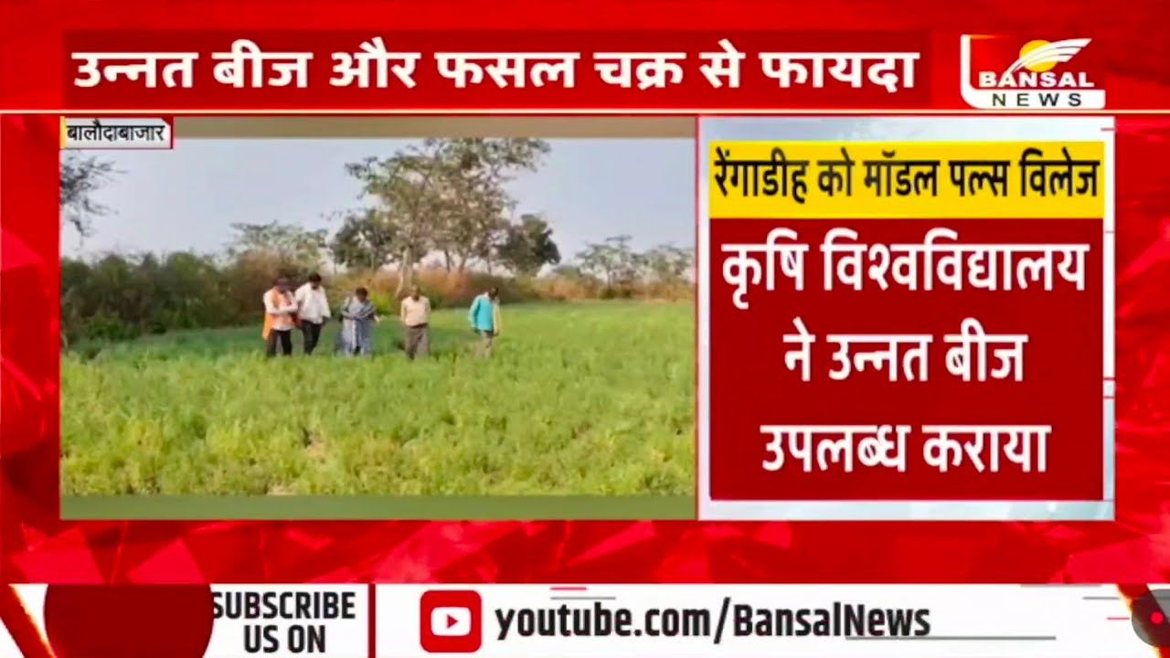 नेशनल फूड सिक्योरिटी मिशन से रेंगाडीह गांव बना मॉडल पल्स विलेज, देखें कैसे किसानों को हो रहा मुनाफा