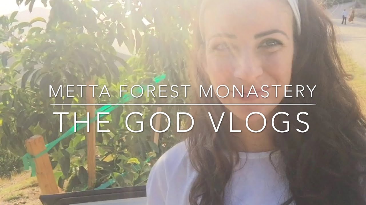 A day at Metta Forest Monastery