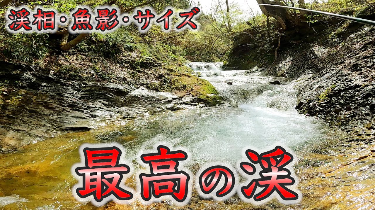 【渓流釣り】新規開拓で最高の渓をみつけた！