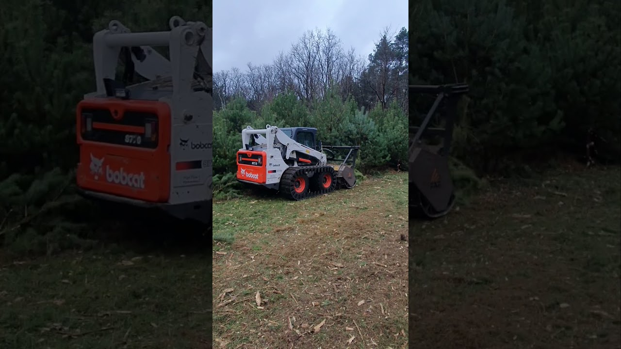 Mulczer leśny-BOBCAT S770 karczowanie samosiejek sosny.