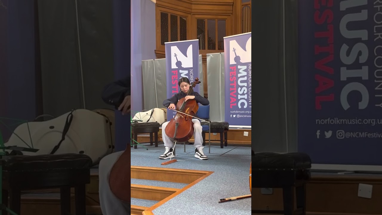 ￼ Hungarian dance no.5 ( Brahms)￼/ Amelie 13