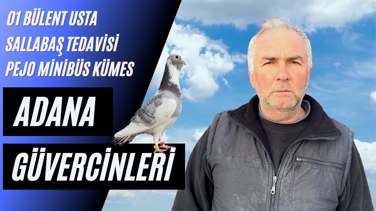 Adana Güvercin Sohbeti Bülent Usta II 'Dewlap'