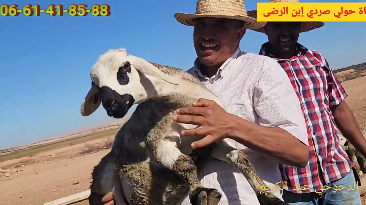 حياة كساب وفلاح المتكامل من ضيعة إلاخوان الدحوحي فرجة ممتعة ودمتم للصردي عاشقين مستمرووون دأمن