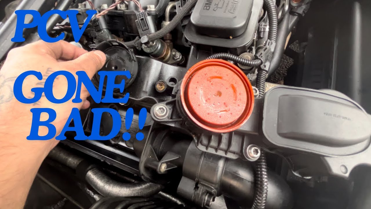 E46 320d M47 pcv removal and inspection 🧐