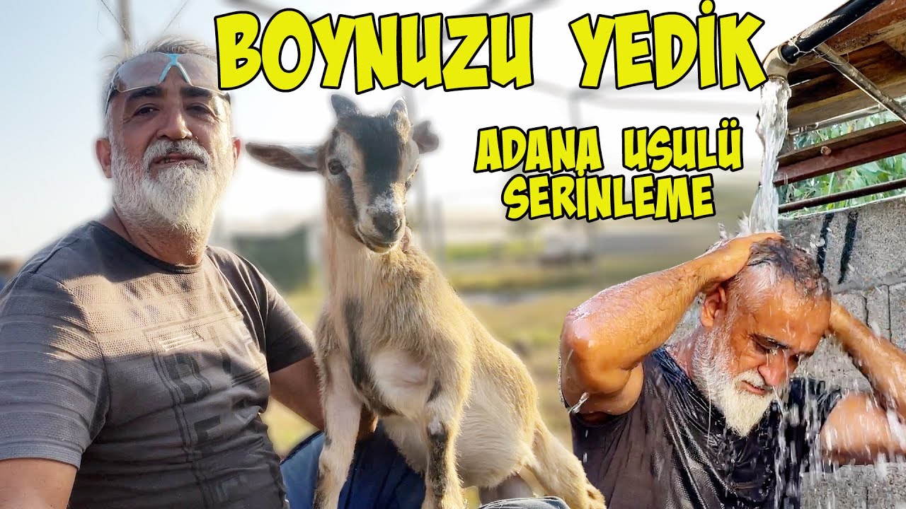 SERAYI TEMİZLİK DEVAM EDİYOR HAVA ÇOK SICAK / CÜCE KEÇİ CEMİLİN HUYU DEĞİŞTİ / EN BASİT DUŞAKABİN ?