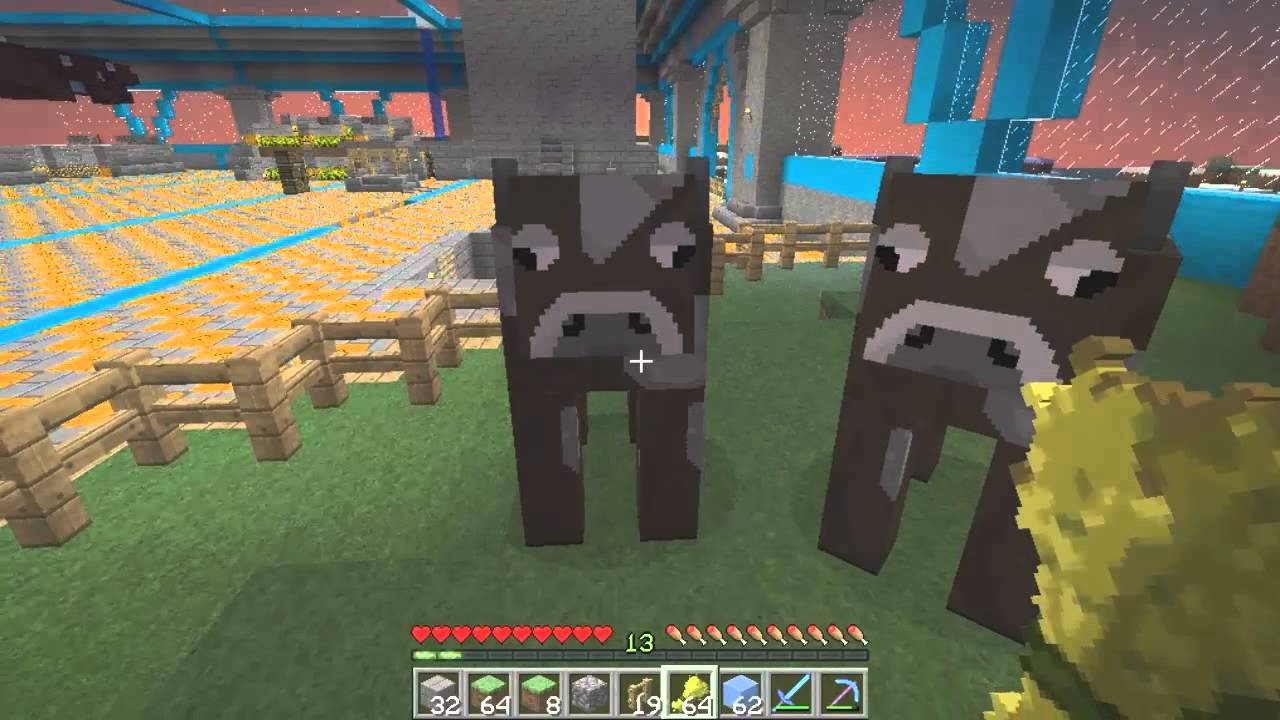 Letsplayeri.eu (2) Kravičky moje :D