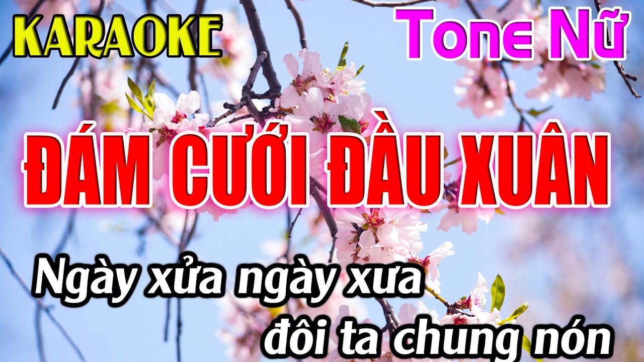 Đám Cưới Đầu Xuân Karaoke Tone Nữ Karaoke Dễ Hát - Beat Mới