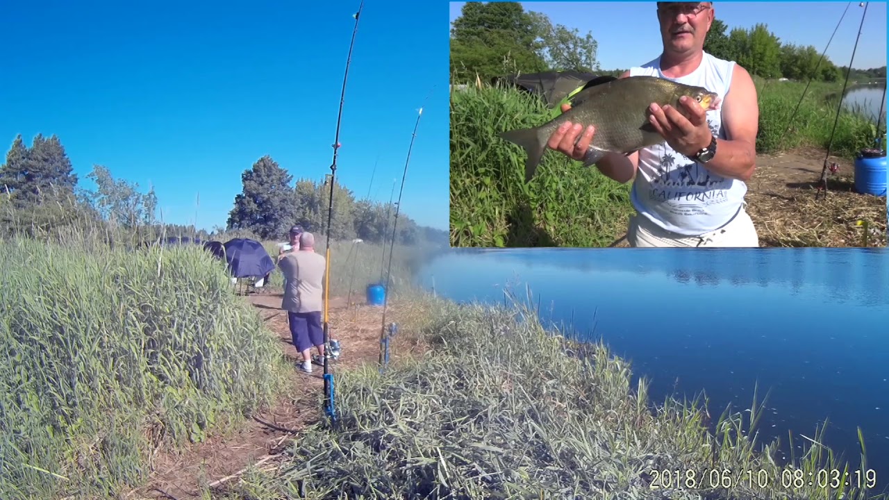 Brania leszczy w Kacicach rz Narew FHD