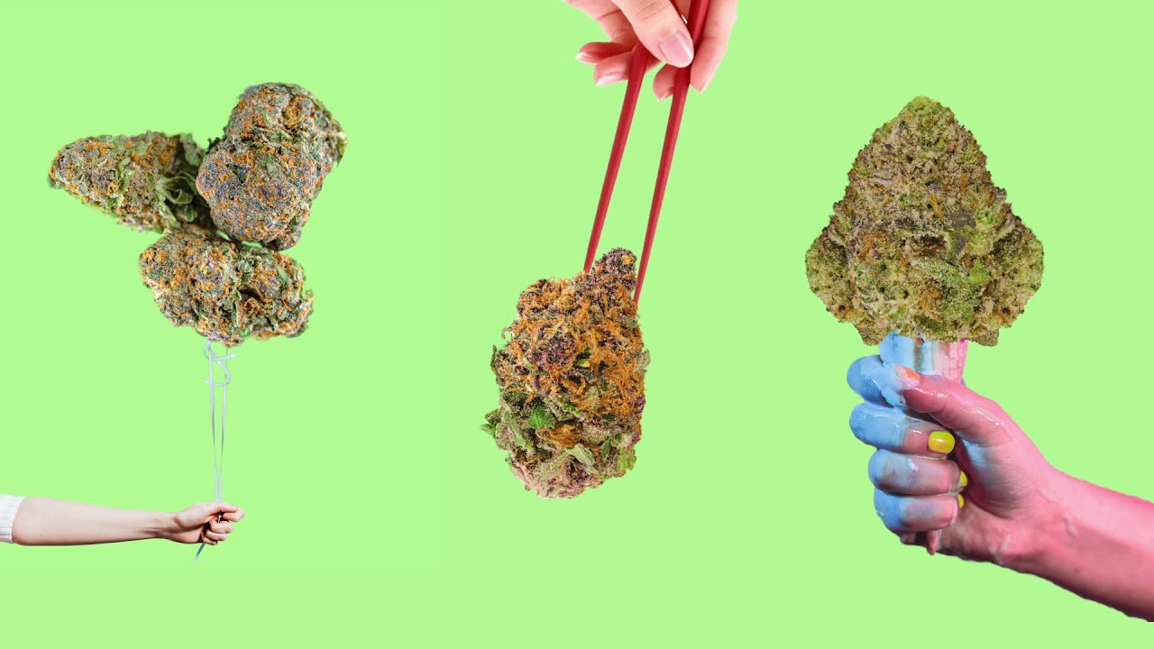 Nova Farms Dispensary WILD Summer Vid ☀️