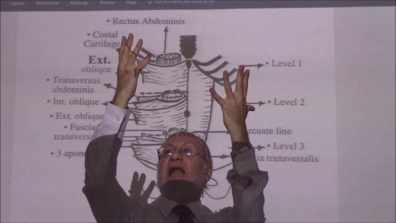 anatomy of rectus sheath part1 by Dr.Wahdan